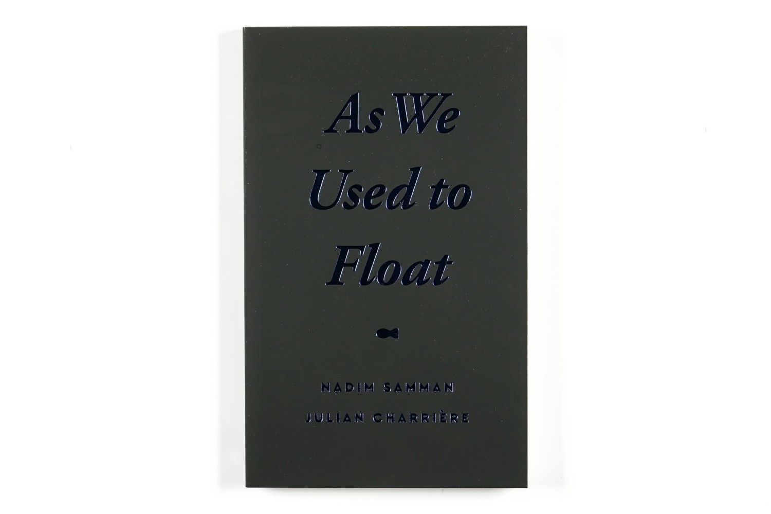 View of «As We Used To Float»