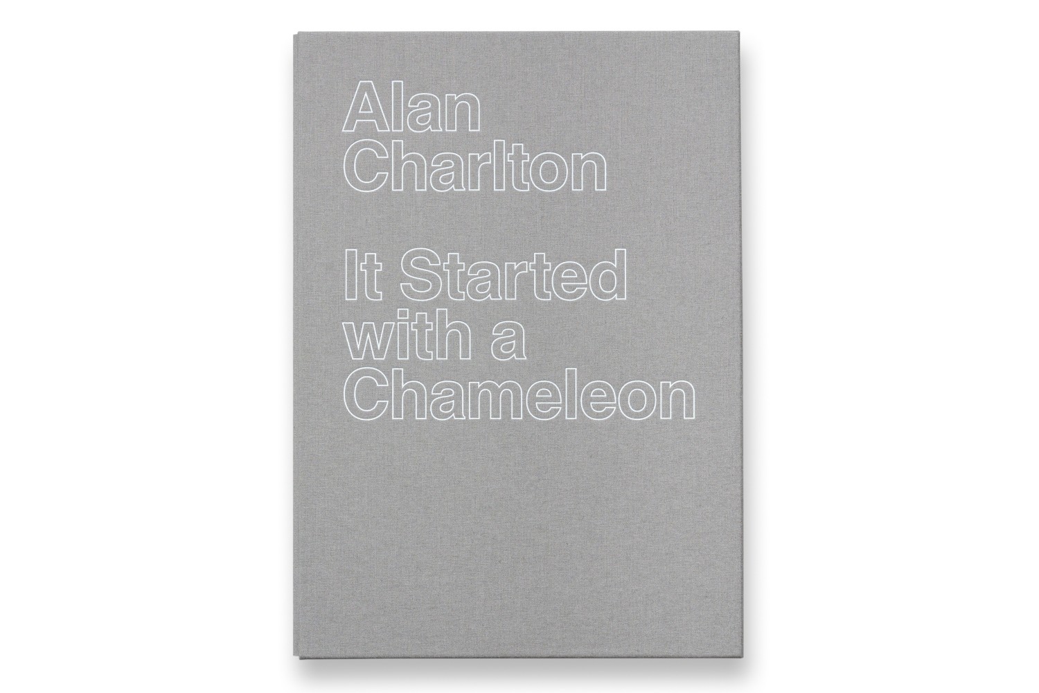 View of «It Started with a Chameleon»